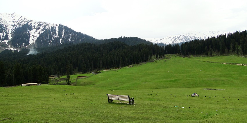 A picture of a scenic valley in Kashmir with views of snow-capped mountains in the background