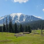 A lush-green view of Doodhpathri in Jammu and Kashmir where one can plan an escapade.