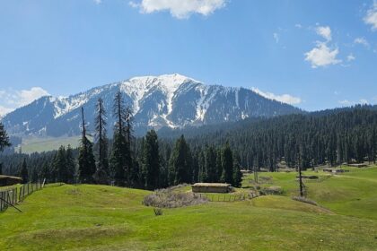 A lush-green view of Doodhpathri in Jammu and Kashmir where one can plan an escapade.