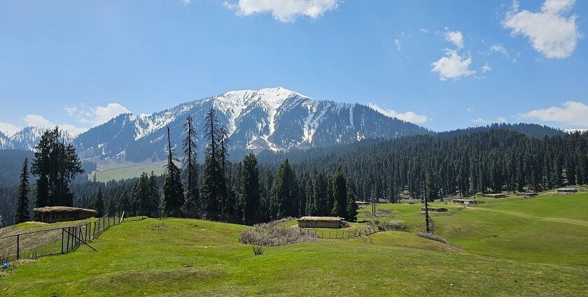 A lush-green view of Doodhpathri in Jammu and Kashmir where one can plan an escapade.