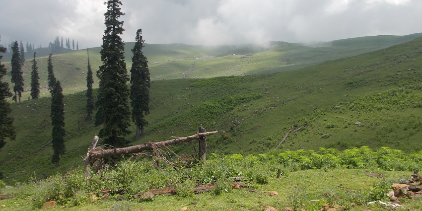 Virgin valley in Doodhpathri - one of the most serene places to visit near Srinagar.