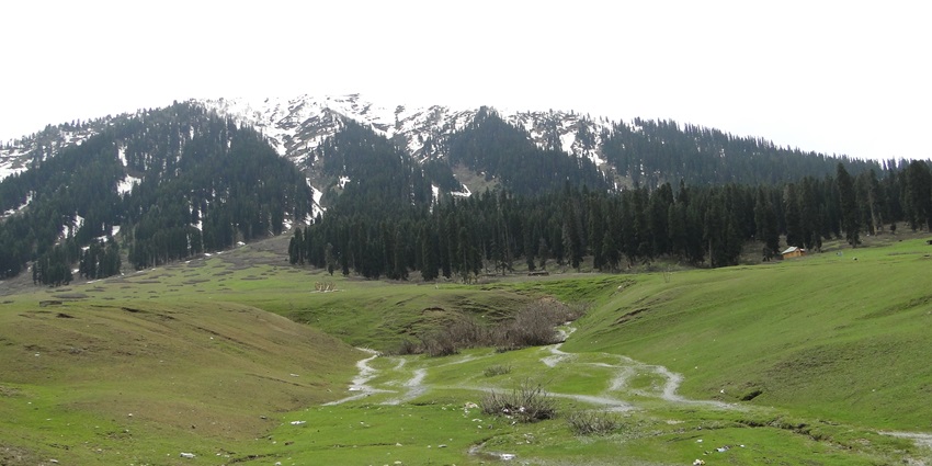 Mountains and lush green meadows - one of the best places to visit in Doodhpathri.