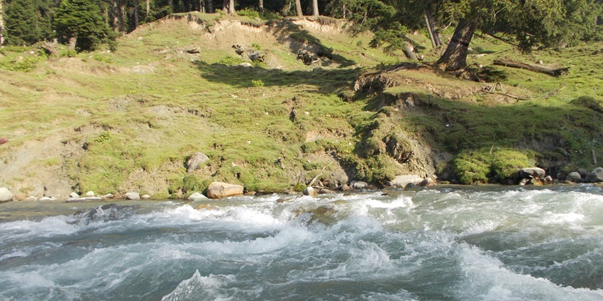 A water stream of water flowing beside a rocky and dense forest in Doodhpathri.