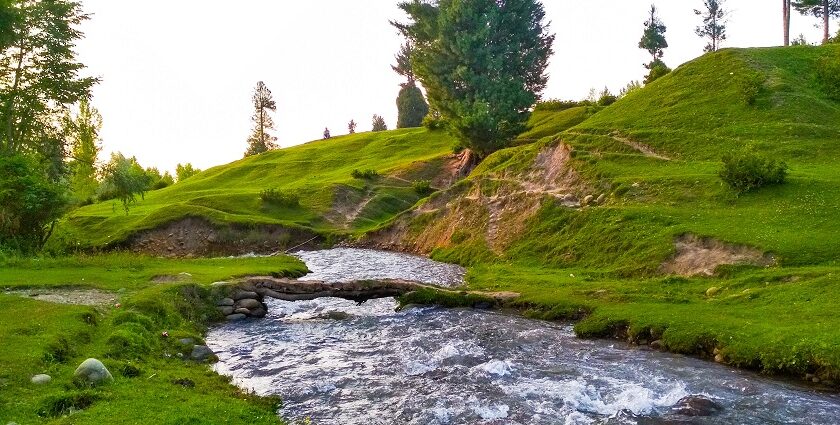 A stream going through the green meadows, one of the best places to visit in Doodhpathri.