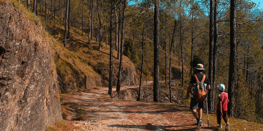 Trekking through the spooky areas of Dow Hill is one of the best things to do in Kurseong.