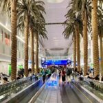 Majestic snap of Palm Trees inside Dubai Airport - Things To Do in Dubai Airport