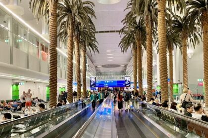 Majestic snap of Palm Trees inside Dubai Airport - Things To Do in Dubai Airport