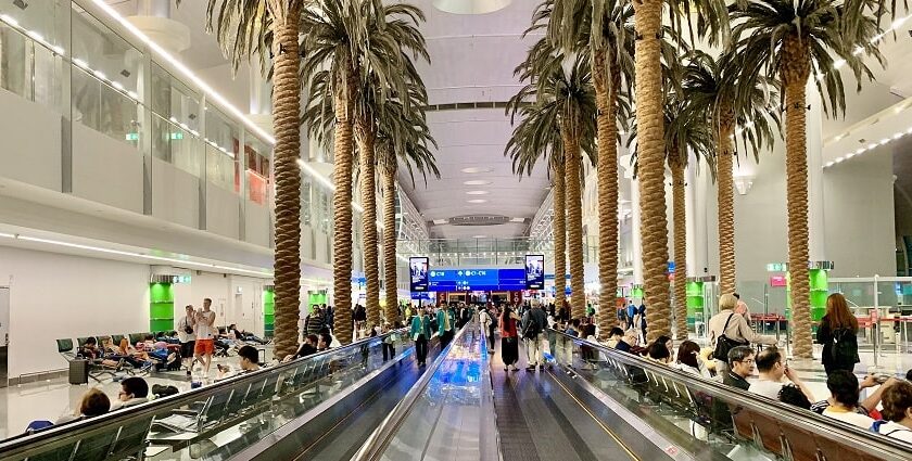 Majestic snap of Palm Trees inside Dubai Airport - Things To Do in Dubai Airport