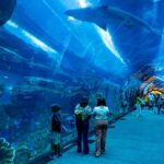 Visitors walking through the 48-meter tunnel at Dubai Aquarium & Underwater Zoo.