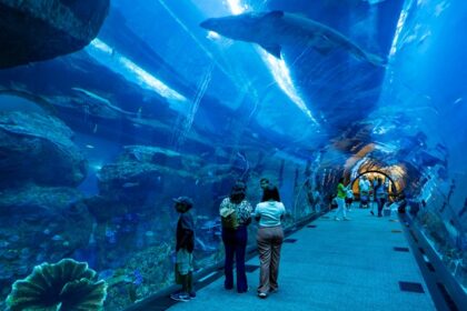 Visitors walking through the 48-meter tunnel at Dubai Aquarium & Underwater Zoo.