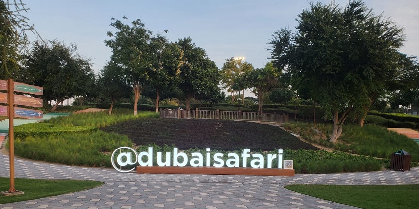 Dubai Safari Park entrance with illuminated sign, lush greenery, and patterned walkway.