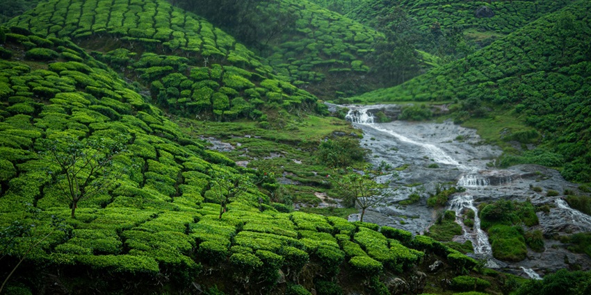 Echo point, a scenic spot in Munnar where your voice reverts back through the hills.