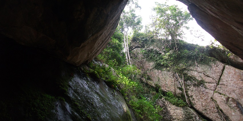 Learn about the famed Edakkal Caves, one of the places to visit near Meenmutty Waterfalls.