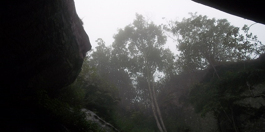 Edakkal Caves is one of the best places to visit in Kalpetta for history enthusiasts.
