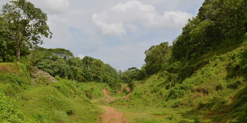 Dense greenery, rich wildlife, and serene natural beauty - hill stations in Ernakulam