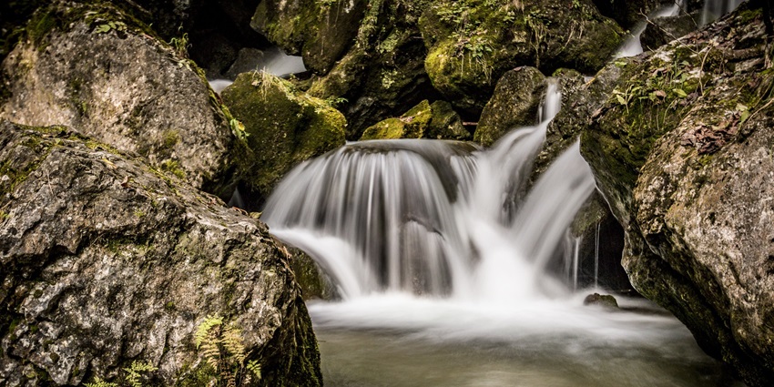 Gentle stream forming Edathanattukara Falls, surrounded by coconut trees and quiet woods.