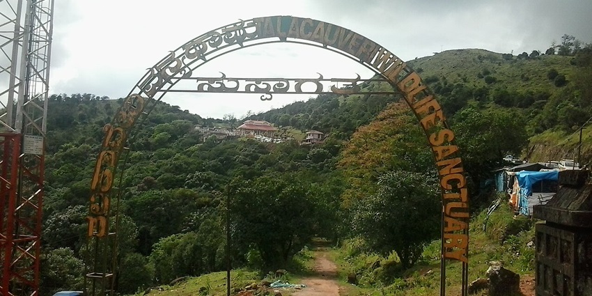 Entry gate of Talakaveri Wildlife Sanctuary surrounded by lush greenery and forested landscape.
