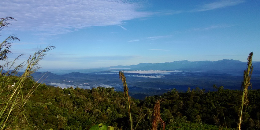 Picturesque view from Elapeedika surrounded by lush greenery under beautiful blue sky
