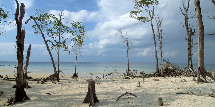 Vibrant coral reefs and calm waters make Elephant Beach ideal for snorkeling.
