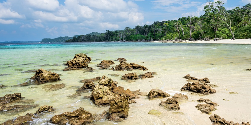 Discover the exclusive marine life in the crystal clear waters of the Elephant Beach.