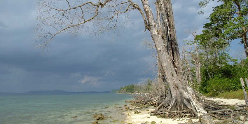 Elephant Beach is one of the famous beaches in Port Blair that has a variety of fish species