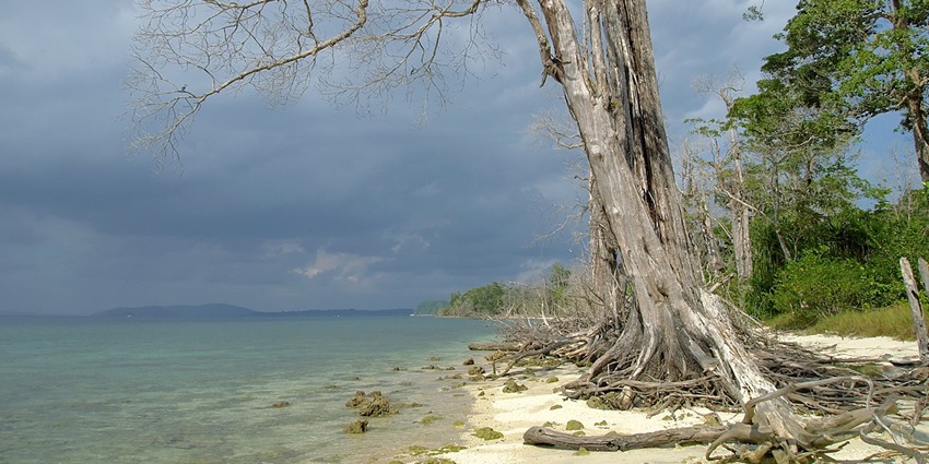 Scenic view of Elephant Beach with clear blue waters and white sandy shore perfect for Kayaking