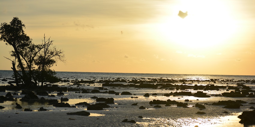 A mesmerising view of the Elephant Beach in Havelock during the golden hour.