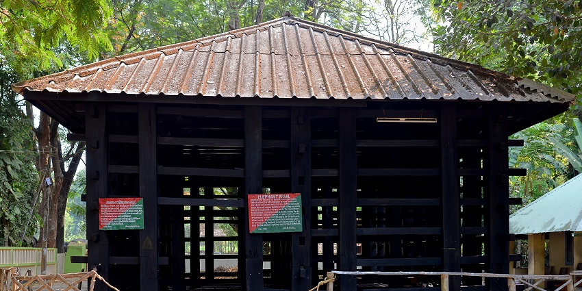 Bond with elephants at Elephant Kraal, Kodanad, one of the places to visit in Athirapally.