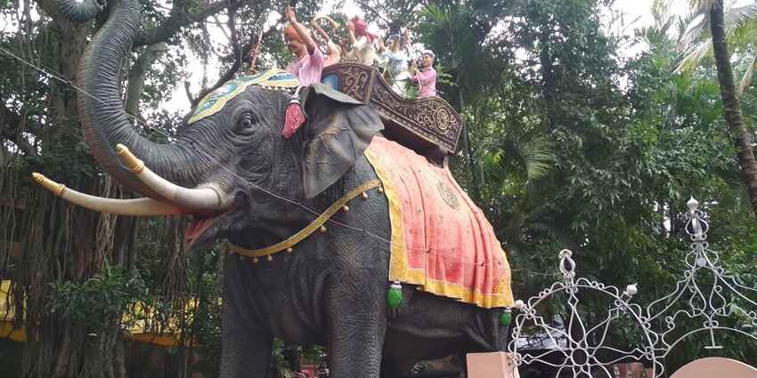 This museum renders any and all information and showcases about the elephants.