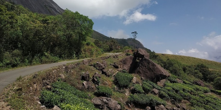 Visiting Eravikulam National Park is the best thing to do in Munnar for a good time.