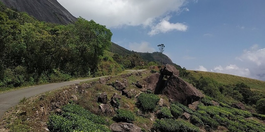 Path passing through the Eravikulam National Park - Best places to visit in Munnar