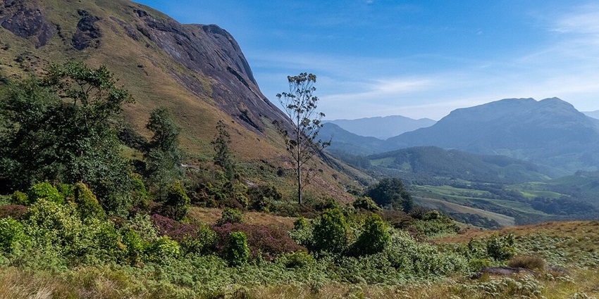 Verdant landscapes looking over the forested hills of the Eravikulam national park