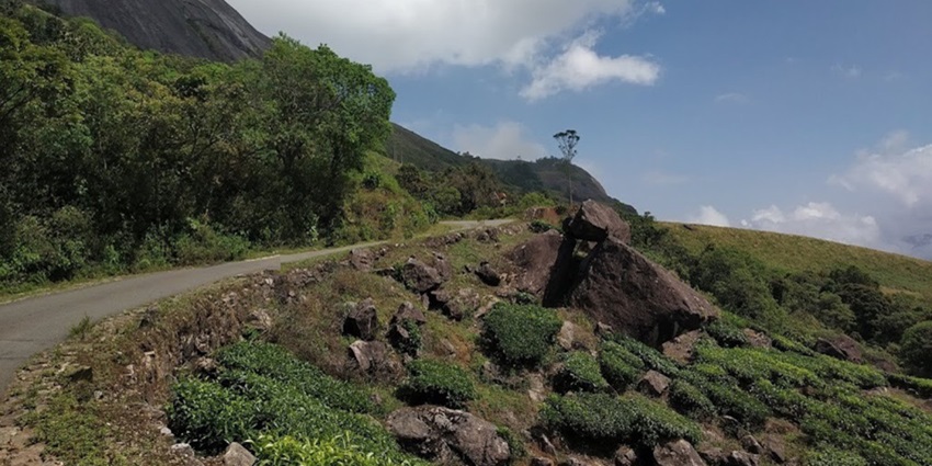 Eravikulam National Park is one of the best places to visit in Munnar in Kerala.
