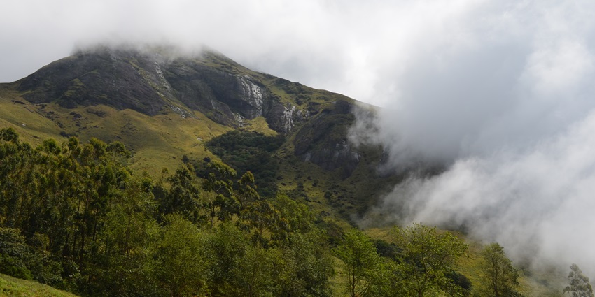 Eravikulam National Park, famous for its vibrant Shola-grassland ecosystem, is near to Pampadum Shola National Park.
