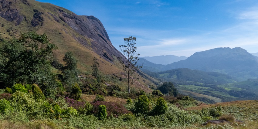 A picture of the lush expanse of a wildlife sanctuary located near the Pallivasal Waterfalls