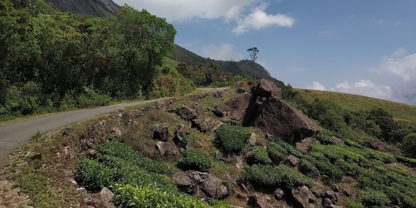 One of the best Kerala picnic places, this national park is a serene getaway from the busy city life