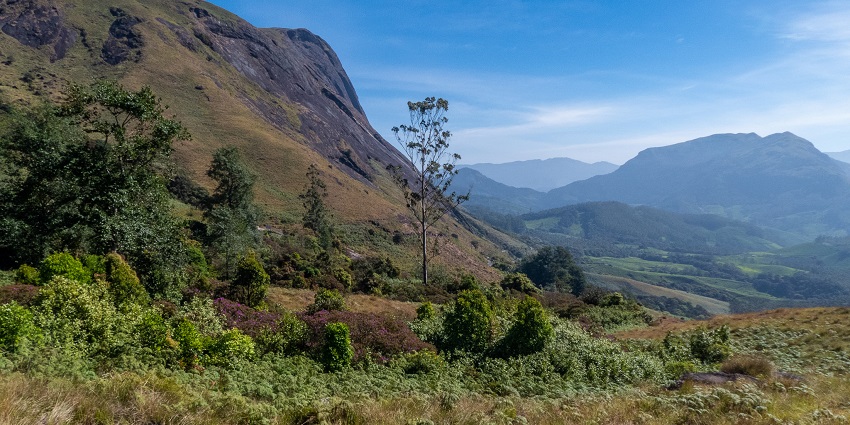 Eravikulam National Park is one of the best Munnar national parks located in South India.