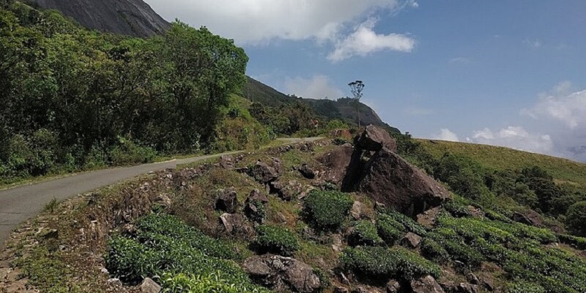 National Park near Cheeyappara Waterfalls
