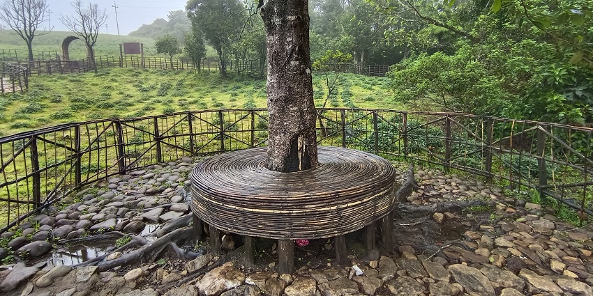 Eravikulam National Park is one of the best places to visit in Kerala to witness wildlife.