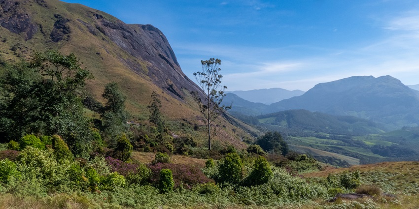 Abode to endangered species, Eravikulam Park is a must-visit place for wildlife lovers.