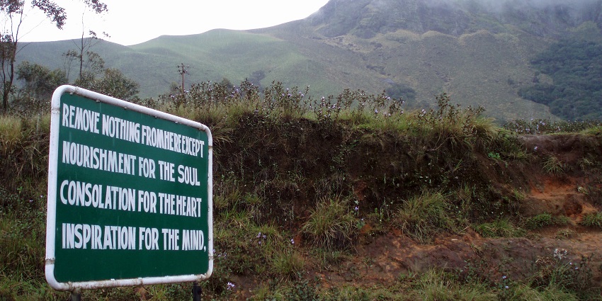 Spot endangered species like Nilgiri Tahr while exploring Eravikulam National Park.