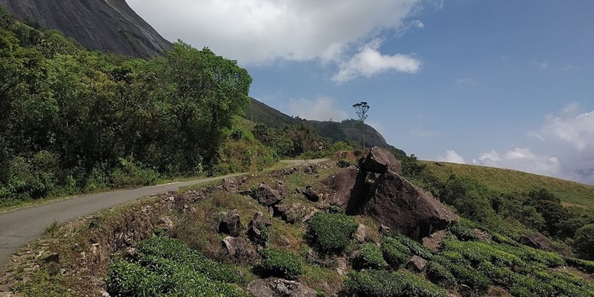 Witness the wildlife of Eravikulam National Park on your trip to Munnar tourist places.