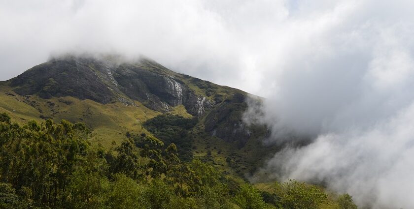 Explore one of the finest national parks in Kerala for an exhilarating experience.