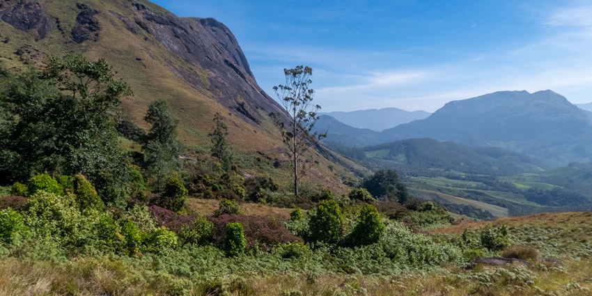 Hills of Eravikulam park, one of the best places to visit in Munnar in may for wildlife lovers