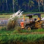 Scenic view of farmer in Paddy field - Places to visit in Ernakulam for Couples