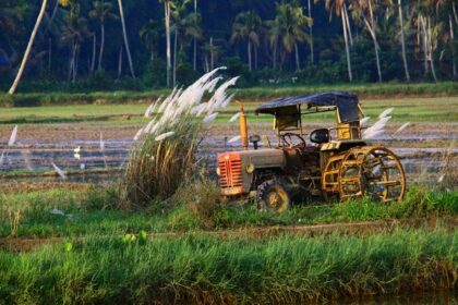 Scenic view of farmer in Paddy field - Places to visit in Ernakulam for Couples