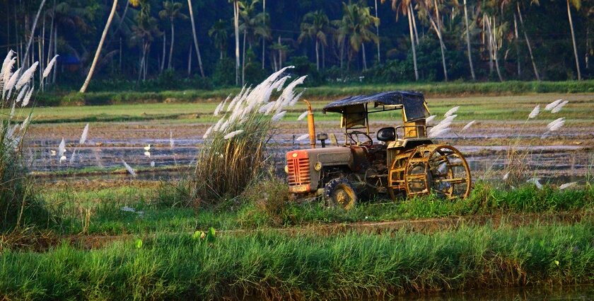 Scenic view of farmer in Paddy field - Places to visit in Ernakulam for Couples