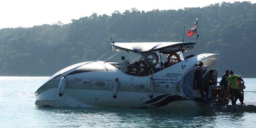 A dolphin cruise in the evening is an activity that people of all ages can indulge in.