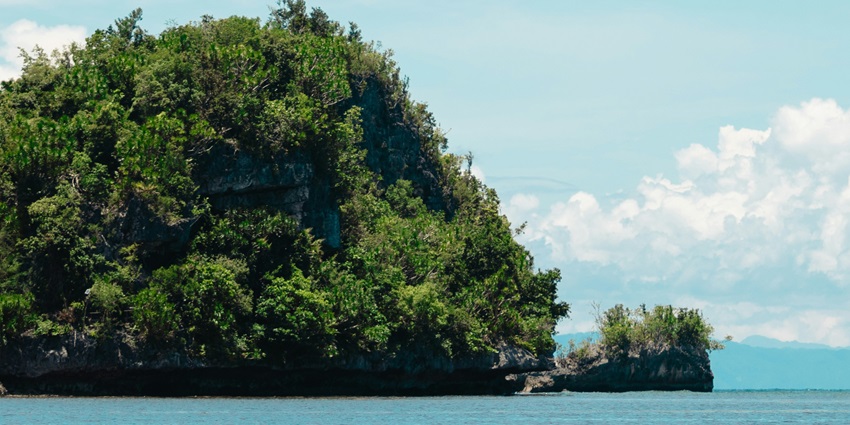 A breathtaking view of the Baratang Island with azure waters and lush green meadows.