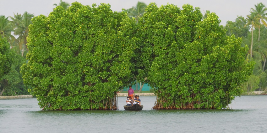 Backwater canals and village life make Munroe Island a peaceful getaway near Kollam.